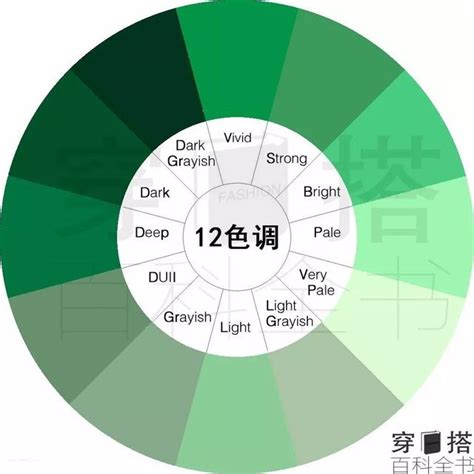 綠色代表什麼|各種顏色的意義寓意、色彩象徵與代表意思（最新總整理）－小雨。